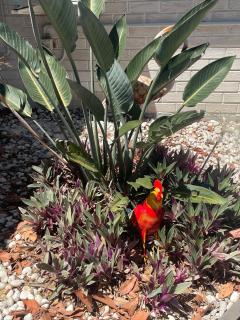 Salisbury Suburban Escape - 2