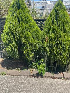 Salisbury Suburban Escape - 1