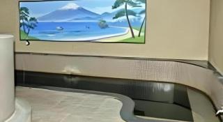 Tokyo Business Hotel - 4