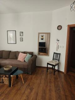 Radomir Downtown 1-bedroom Apartment with balcony - 7