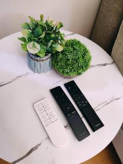 Charming 2BR Condo in Cambridge with WIFI, Smart TV - 2