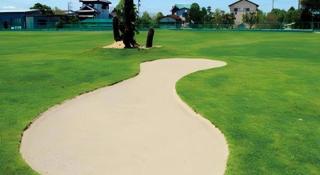 Sunshine Shirako New - 1