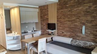 Apartmani Kopaonik Centar Maglic - Kopaonik - 1