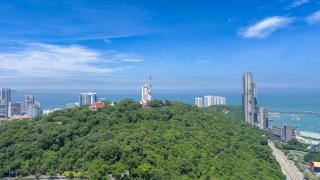 Skyline Serenity by Mountain Park - 5