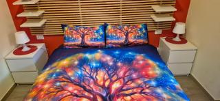 Lady D Bed&Breakfast - 8