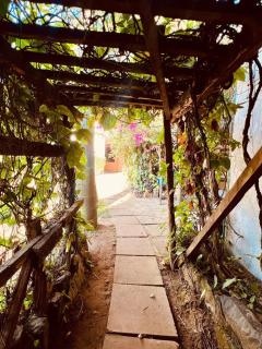 Cozy Studio-Garden Pool Restaurant, 5 mins to CBD - 5