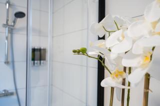 Evin's Apartment - 8