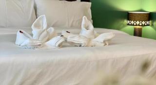 Nimman Forest Hostel - 9