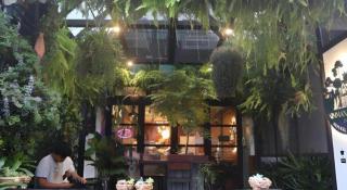 Nimman Forest Hostel - 2