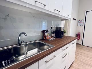 Hodos Luxury APT 2 near ATH-Airport - 5