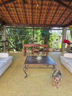 Casa do Ipe Amarelo - 4