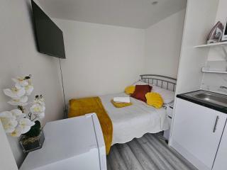 Self-contained Studio Room in Slough - 6