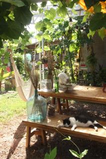 Yidan Farmstay in Chiang Dao - 5