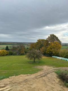 Holzliebe mit Donaublick - 7