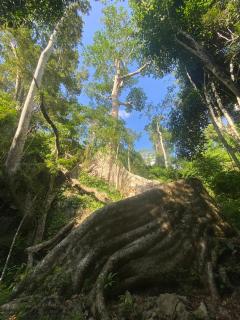 Modern Tor Tao camp - 5