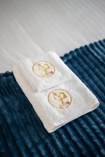 Le Coq Eileen Gray- Garage - Swimming pool - AC - WiFi - 2