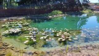 Glamping im beheizten Campingfass auf Leo's Farm - 1