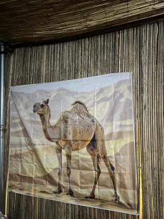 Desert Lumen Camp - Al Raka - 1