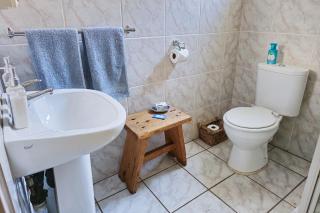 Dutch on Tecoma, Wonderboom, Pretoria - 9