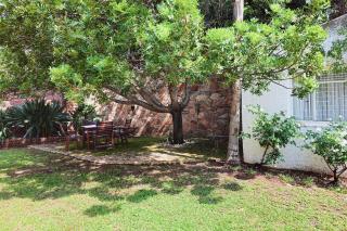 Dutch on Tecoma, Wonderboom, Pretoria - 3