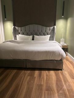 شقة راقية بدخول ذكي في الملقا 19 - 6