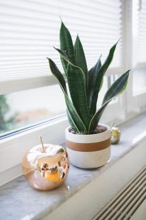 Weideblick, traumhaft wohnen im Schwarzwald - 8