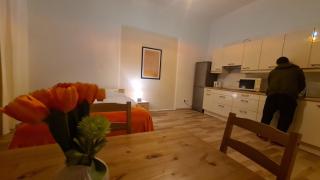 Comfortable 2BR Apartment near Belvedere Palace - 7
