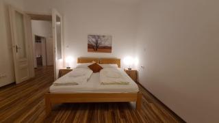Comfortable 2BR Apartment near Belvedere Palace - 8
