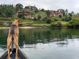 Umutuzo Lodge Kivu Lake - 6