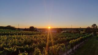 Eichenhäuschen - Tinyhouse im Weinviertel - 8