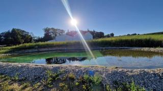 Eichenhäuschen - Tinyhouse im Weinviertel - 1