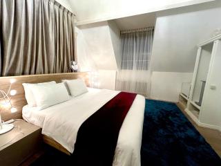 Luxury Villa Schaffen with a private gym - 5