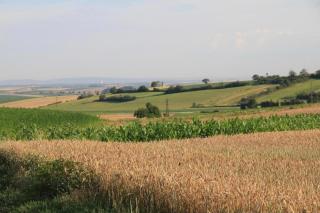 Eichenhäuschen - Tinyhouse im Weinviertel - 2