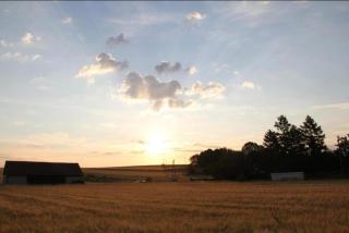 Eichenhäuschen - Tinyhouse im Weinviertel - 3