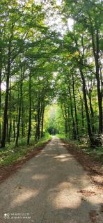 A BEAUTIFUL HOUSE near AIRPORT KRAKOW-BALICE - 9