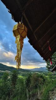 Hula Hula Bungalow - 7