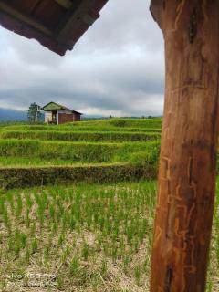 Pengaringan Cottage Cotol - 1