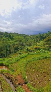 Bamboo Craft Homestay - 2