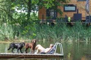 TinyHousebeiDresden klein aber fein, beste Alleinlage direkt am Naturteich, große Terrasse - Nähe Sächsische Schweiz und Dresden - 2
