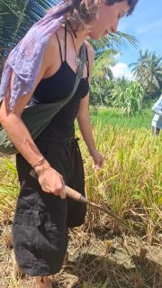 Bamboo Craft Homestay - 4