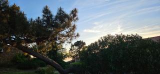 Chaleureux T2 Vue mer et piscine Alba Rossa - 2