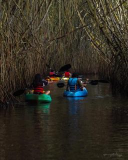 Hridhayam Homestay varkala - 7