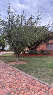 The N1 Farm Place - 4