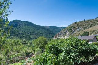 Le chardon a blajoux - 6