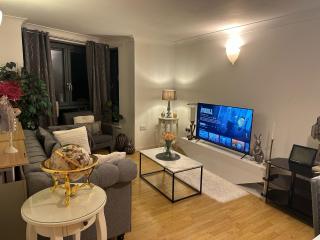 Cozy 2 Bedroom Flat in Central London Ideal for Families - 2