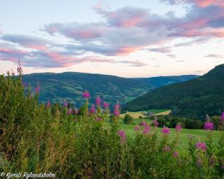 Trivelig gårdshus - 7