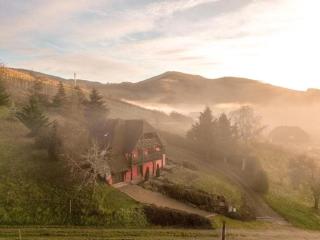 Chalet Les Terrasses d'Albé 6P Montages & Vignes - 4