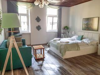 Spacious 2BR shared Apartment - Perfect for Longstays - 0