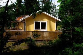 Cottage in forest - 3