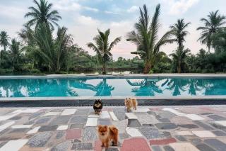 Ninh Binh Peaceful Retreat - 0